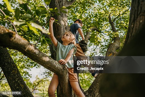 Bambini che giocano su un albero Bambini che giocano su un albero