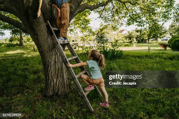 kids climbing on a tree - ladder tree stock pictures, royalty-free photos & images