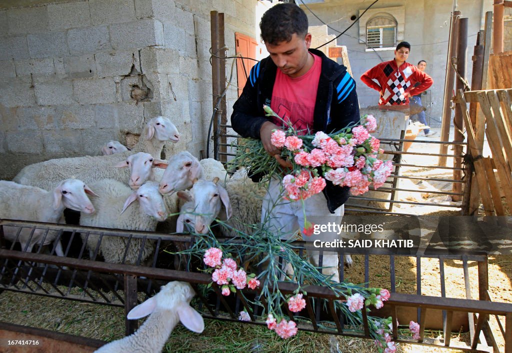 PALESTINIAN-ISRAEL-GAZA-ECONOMY-FLOWERS