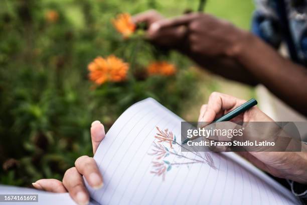 primo piano di una donna che disegna fiori nel suo taccuino - botanical hand drawn foto e immagini stock