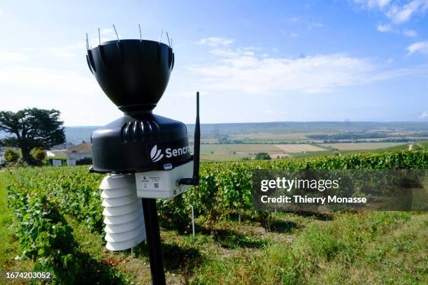 Connected Rain Gauge is seen in vineyards in the AOC Champagne region on September 14, 2023 in Châtillon-sur-Marne, France. The vines produced...