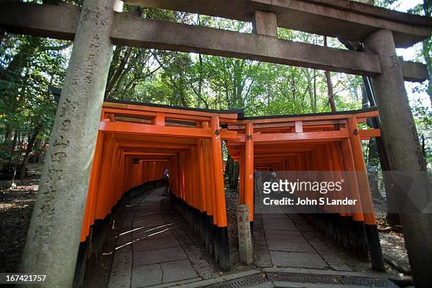 Fushimi Inari Taisha is a Shinto shrine dedicated to Inari, the god of rice, sake, and prosperity. One of Kyoto's oldest and most revered Shinto...
