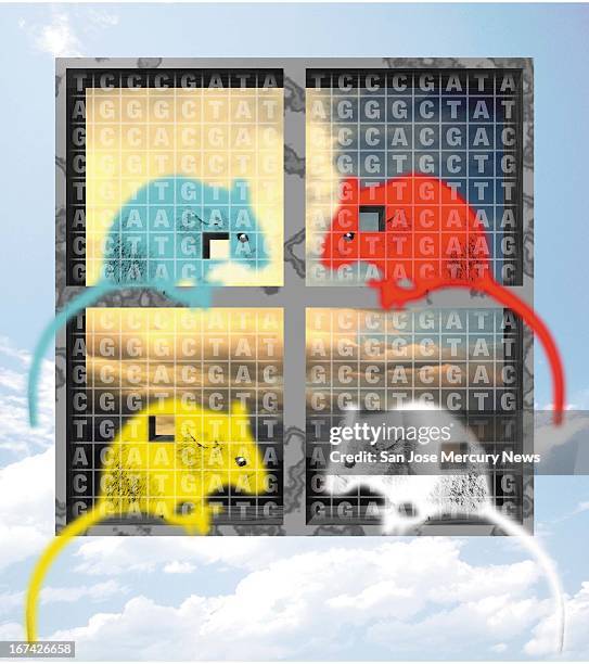 Col x 7.25 in / 164x184 mm / 558x626 pixels Reid Brown color illustration of four mice of different colors over a background of DNA amino acid...