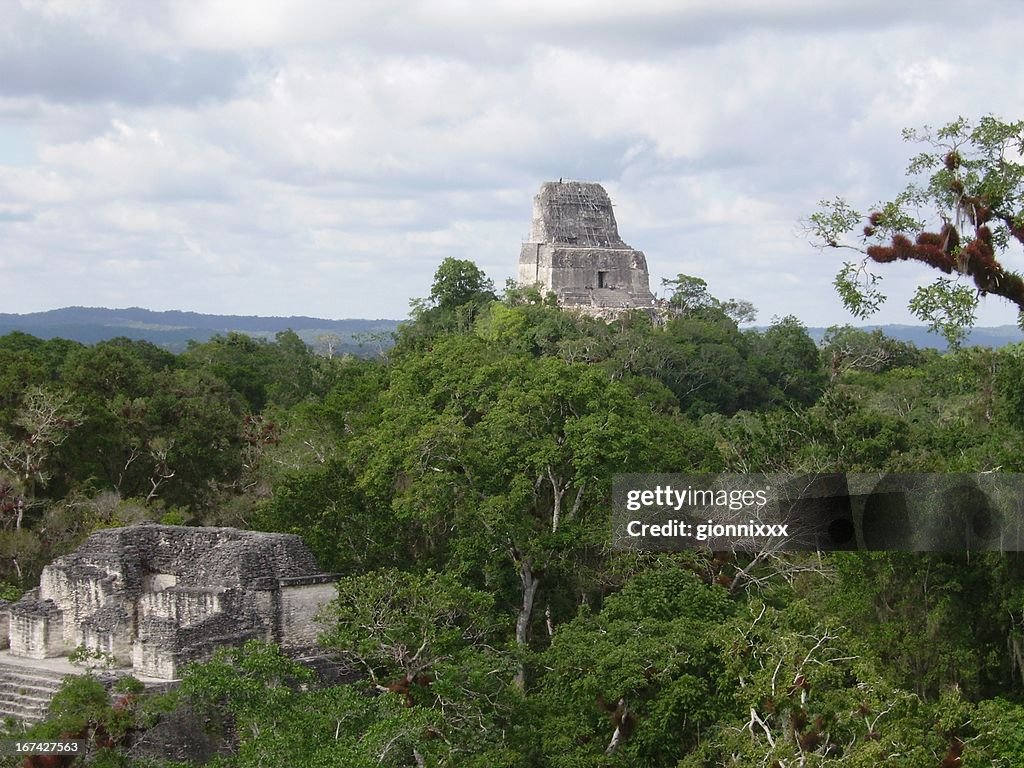 Pyramids in the jungle at Tikal, Guatemala