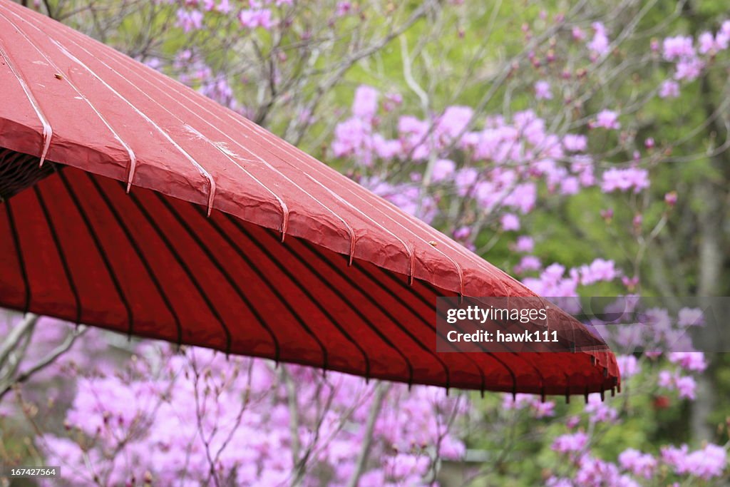 Japanese umbrella