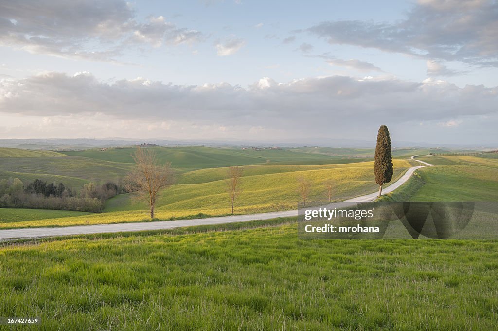 Tuscan roads