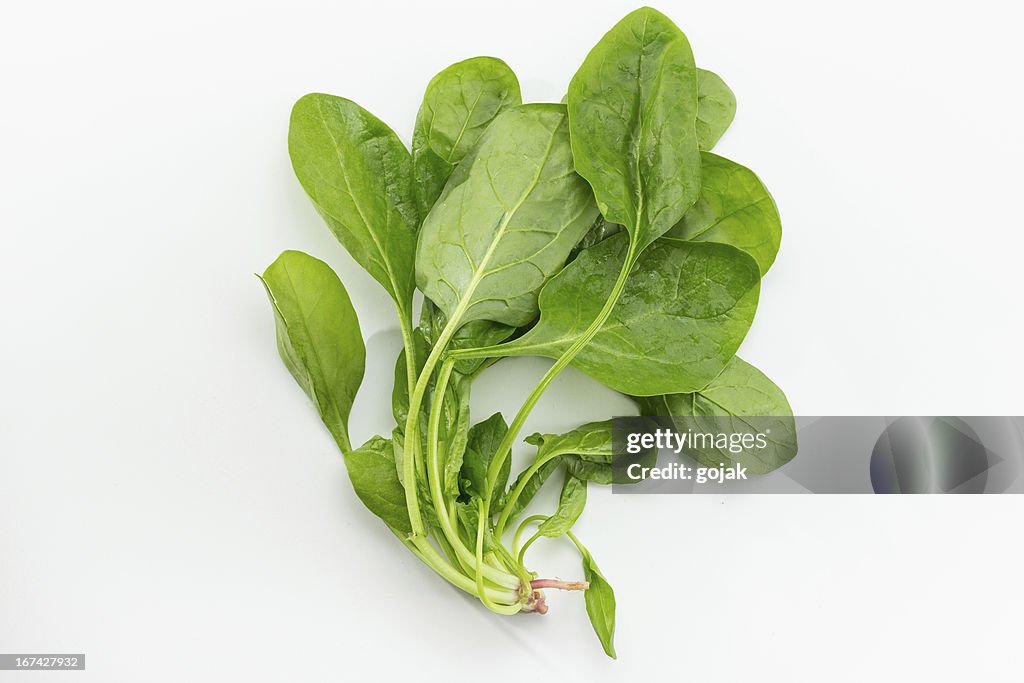 Fresh Spinach