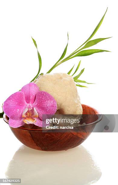 raw shea butter in wooden bowl with orchid and bamboo - shea butter stock pictures, royalty-free photos & images
