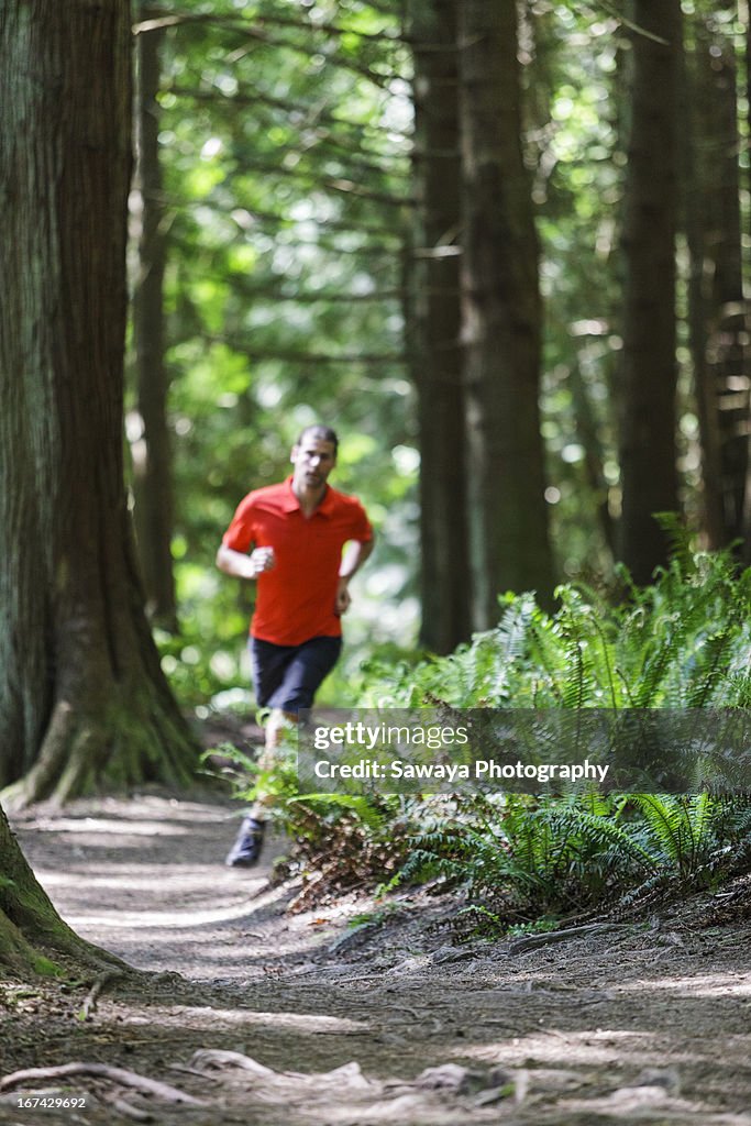 Trail running in evergreen forest