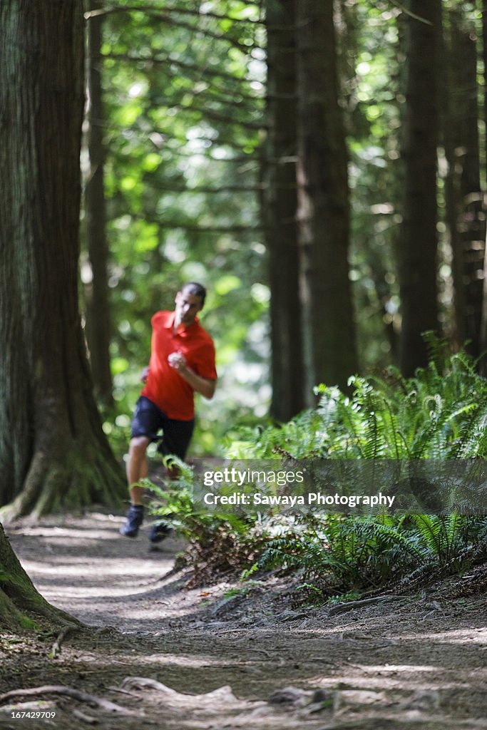 Trail running in evergreen forest