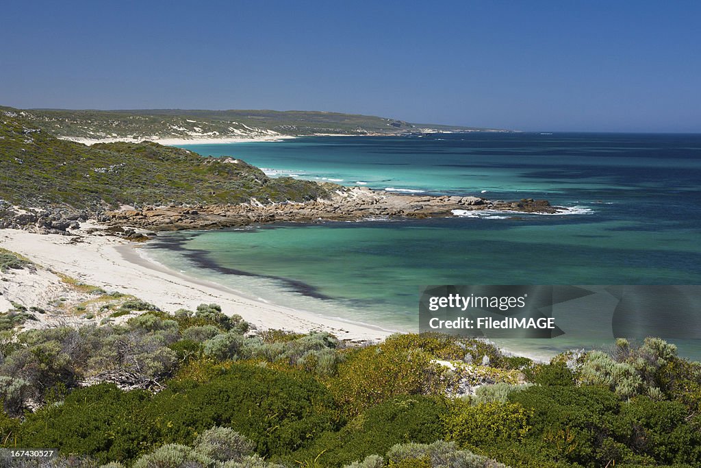 Australian Beach Scene