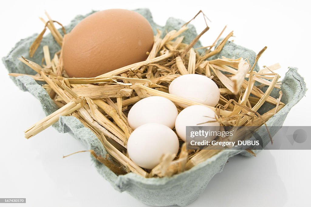 Unity is power symbol with eggs