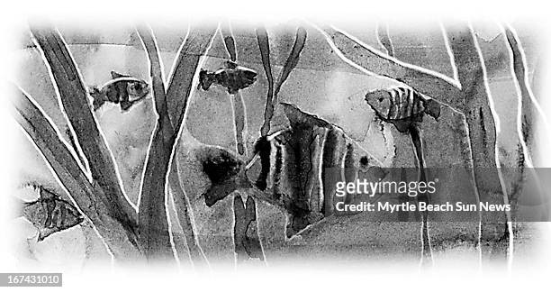 Col x 2.25 in / 108x57 mm / 368x194 pixels Jason Whitley black and white illustration of tropical fish.