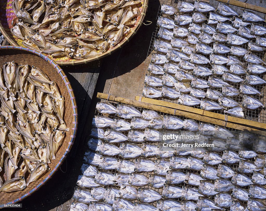 Fish dry in the powerful sun on a dock in the capital city's...