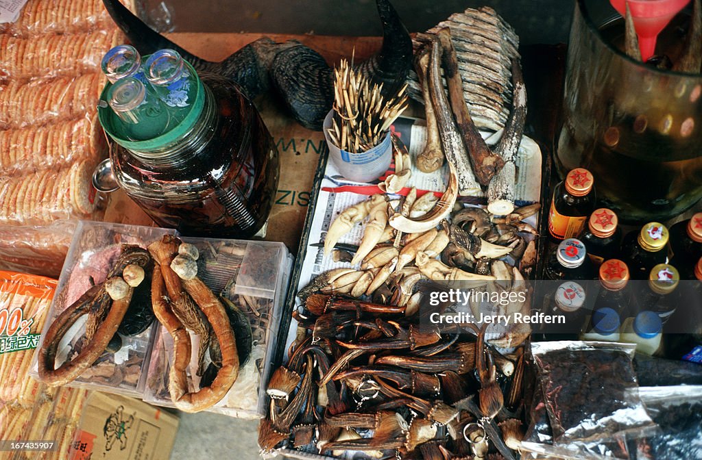 Animal parts - including elephant teeth, deer horns, gaur...