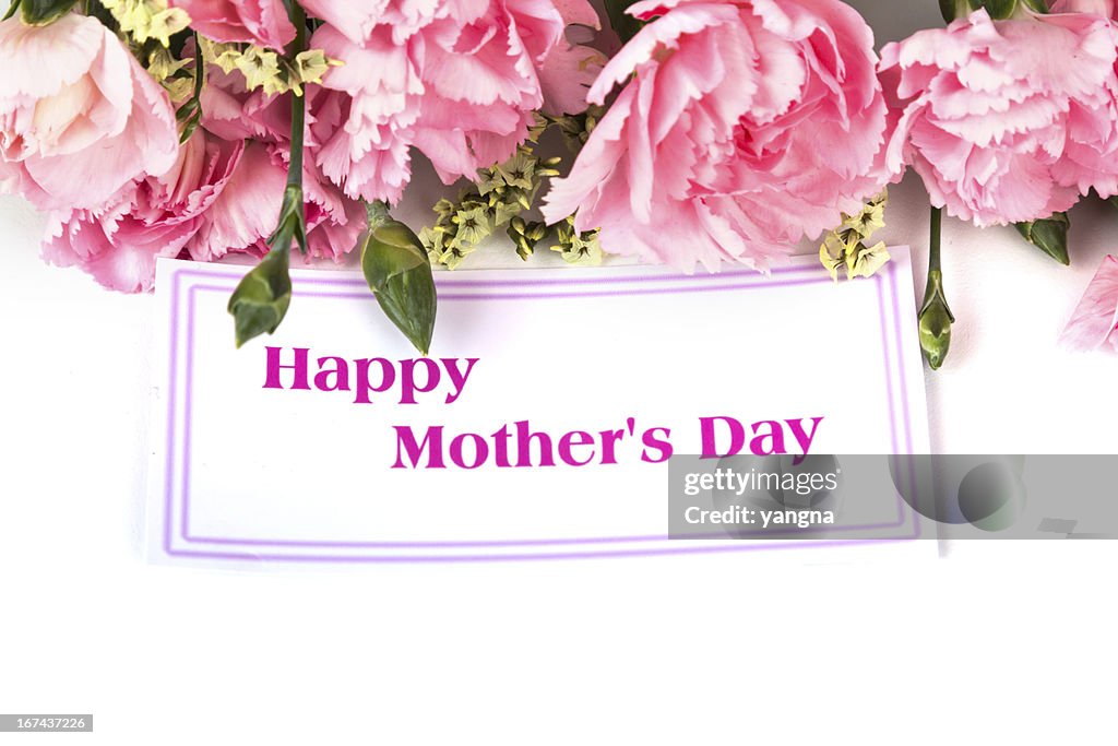 Pink carnations and mother's Day gift