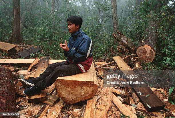 Uoc Duc, who claims to be one of Sapa's best mountain guides, gets a sliver shile examining a massive sandalwood log in the Hoang Lien Son Nature...