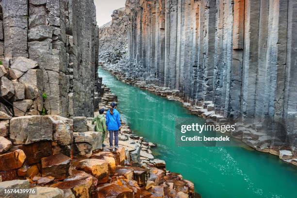 islandia gente senderismo studlagil canyon - columna de basalto fotografías e imágenes de stock