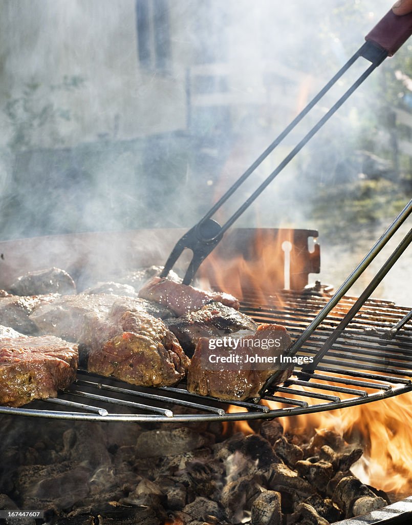 Moose met on a grill, Sweden.