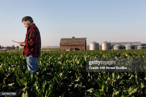 hispanic farmer using tablet computer in crop field - farmer confident serious stock pictures, royalty-free photos & images