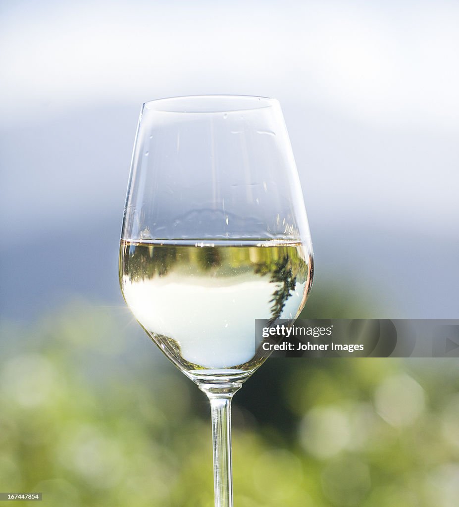 Close-up of glass with white wine