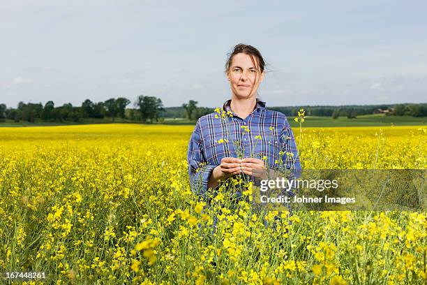 smiling woman on oilseed rape field - corporate portraits depth of field stockfoto's en -beelden