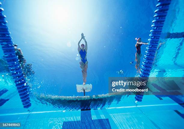 view of female swimmer diving in swimming pool - role stock-fotos und bilder