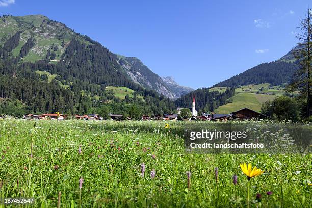 typical austrian village - lechdalen bildbanksfoton och bilder