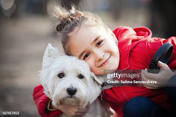 kleines mädchen mit hund - west highland white terrier stock-fotos und bilder