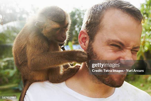 thailand, portrait of adult man with macaque monkey sitting on his shoulder - macaco imagens e fotografias de stock