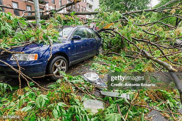 usa, new york, brooklyn, car smashed by fallen tree - baumstamm am boden stock-fotos und bilder