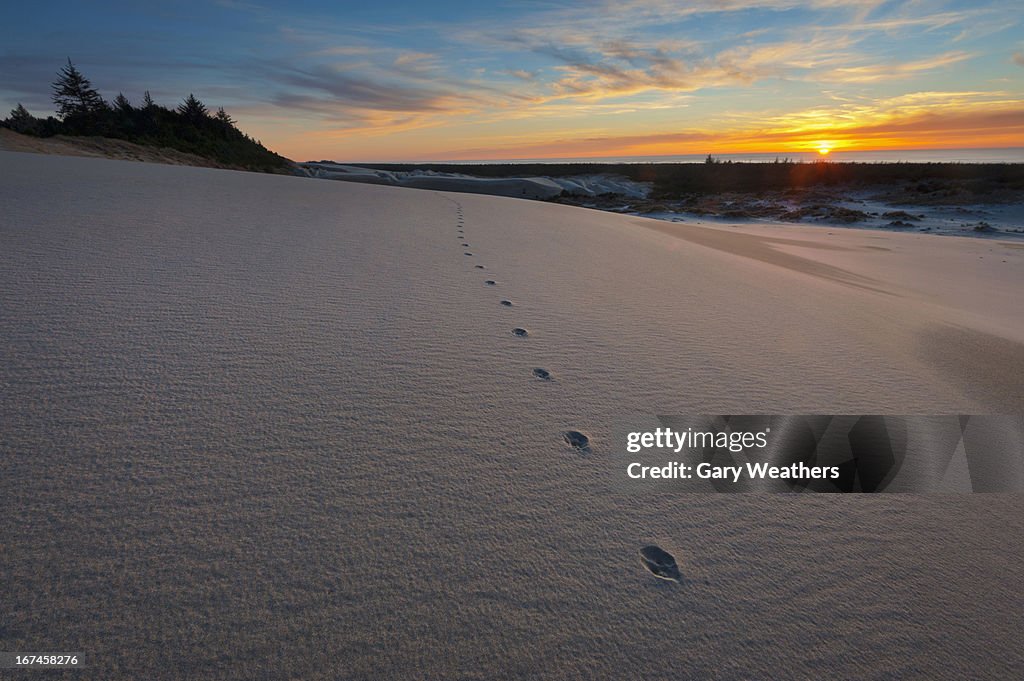 USA, Oregon, Coos County, Sunset over winter landscape