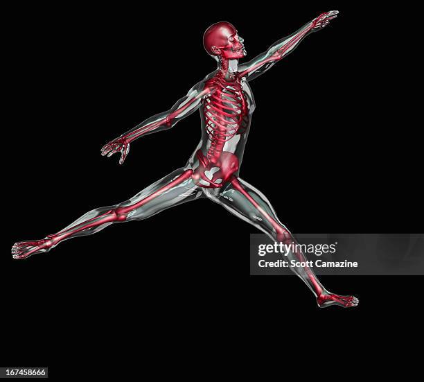 digitally generated image of human representation dancing ballet - dance diagram stock illustrations
