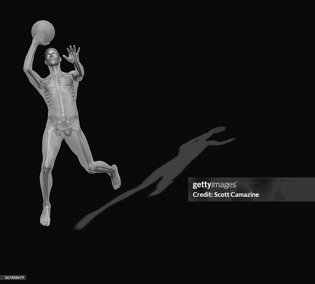 Human skeleton playing basketball