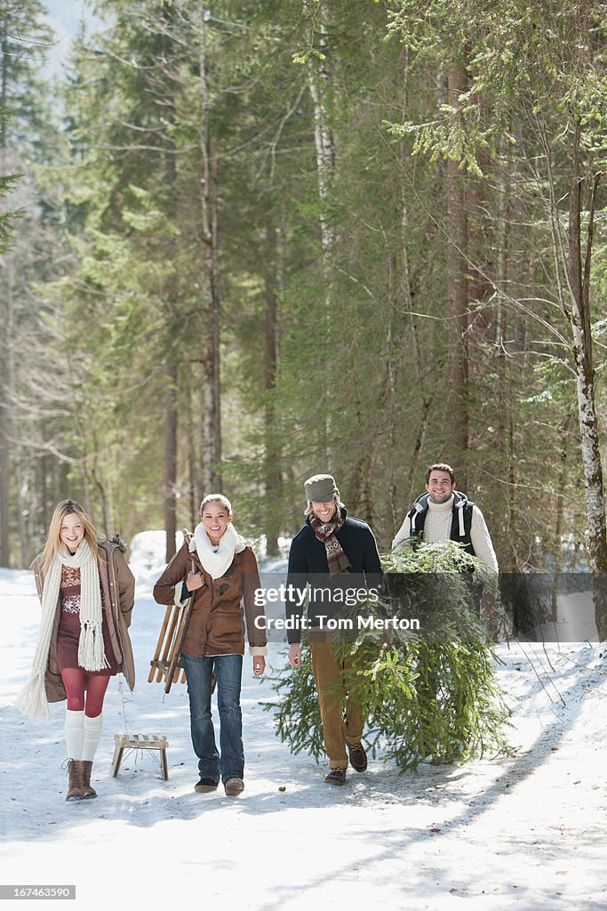 Smiling couples with fresh cut Christmas tree and sled in snowy woods