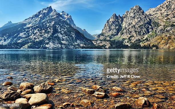 clear water at jenny lake - grand teton national park stock pictures, royalty-free photos & images