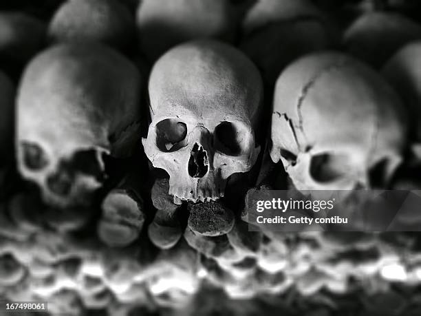 the end is not the end... - human skull stock pictures, royalty-free photos & images