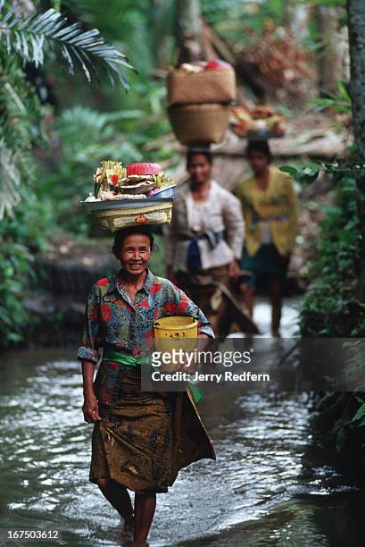 Women tote offering baskets of food, flowers and drink down an irrigation canal heading to a Hindu ceremony. Brightly-dressed women with burgeoning...