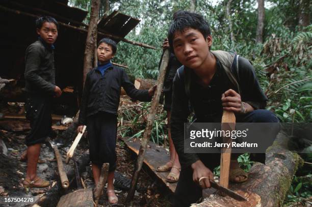 Young Hmong boys gather in front of their lean-to in the jungle of the Hoang Lien Son Nature Reserve in northern Vietnam. About a half-dozen live in...
