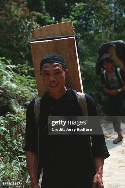 Hmong men carry slabs of sandalwood out of the Hoang Lien Son Nature Reserve in northern Vietnam. Hmong men cut the trees and haul the wood out of...