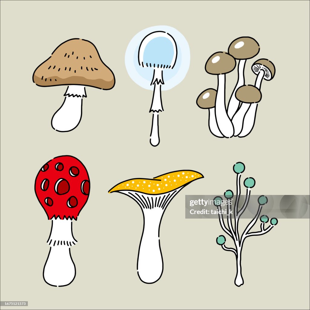 Various mushrooms