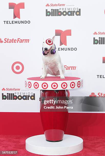 Bullseye attends the 2013 Billboard Latin Music Awards at BankUnited Center on April 25, 2013 in Miami, Florida.