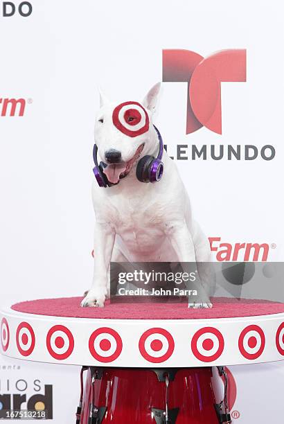 Bullseye attends the 2013 Billboard Latin Music Awards at BankUnited Center on April 25, 2013 in Miami, Florida.