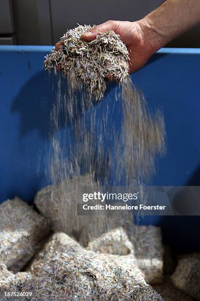 An employee holds shredded money at the German Bundesbank Counterfeit Money Analysis Lab during a demonstration for the media on April 26, 2013 in...