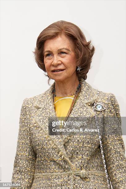 Queen Sofia of Spain attends Dali exhibition at Reina Sofia museum on April 26, 2013 in Madrid, Spain.