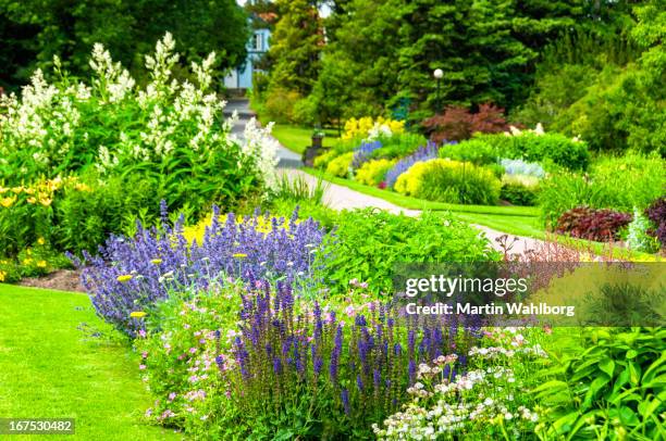 botanical garden - landscaped flowers stock pictures, royalty-free photos & images