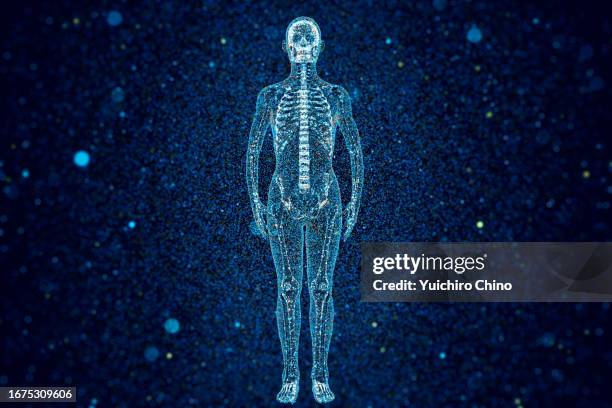 healthcare full human body and bone - man standing full body stock-fotos und bilder
