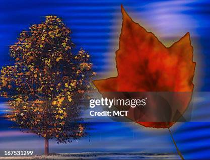 . X 1.5" Seasonal fall image.