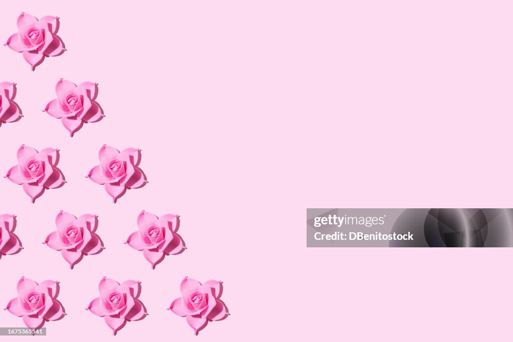 Pink Roses Femininity Pattern Of Pink Roses Made With Eva Foam On The Left Side On A Pink ...