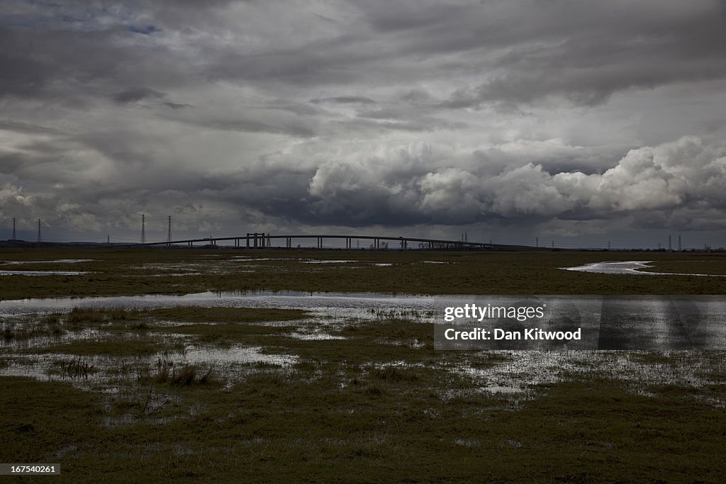 Bird Life At Elmley Marshes